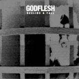 Godflesh – Decline & Fall