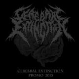 Cerebral Extinction – Promo 2013