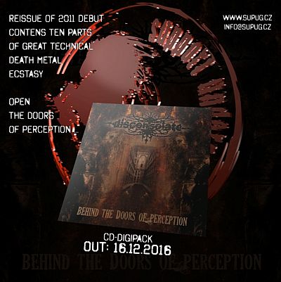 Disconsolate - Behind the Doors of Perception