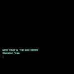 Nick Cave & the Bad Seeds – Skeleton Tree