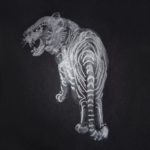 Tigris argentum – Sol nigra